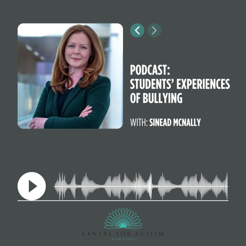 Podcast – Students’ Experiences of Bullying – Sinead McNally