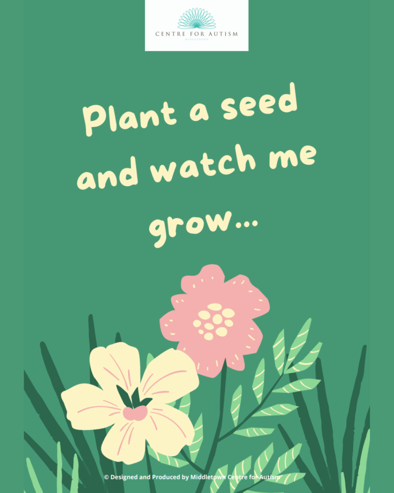 Plant a seed