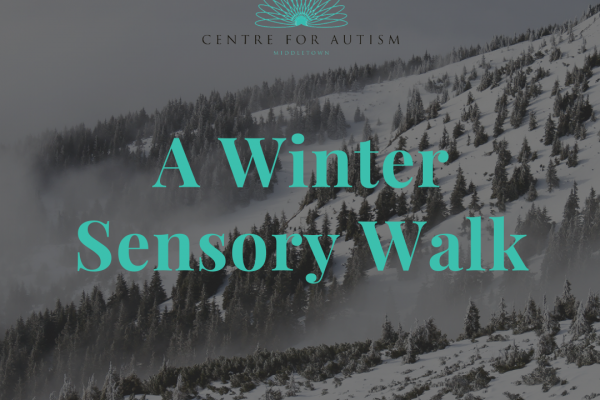 https://www.middletownautism.com/social-media/a-winter-sensory-walk-12-2020