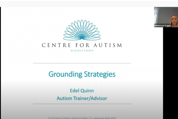 https://www.middletownautism.com/social-media/grounding-strategies-7-2020