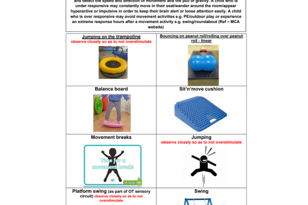 https://www.middletownautism.com/social-media/the-sensory-systems-vestibular-9-2022