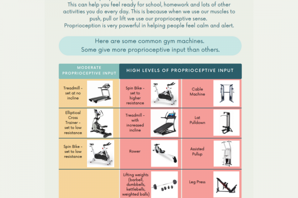 https://www.middletownautism.com/social-media/guides-for-using-gym-equipment-1-2023