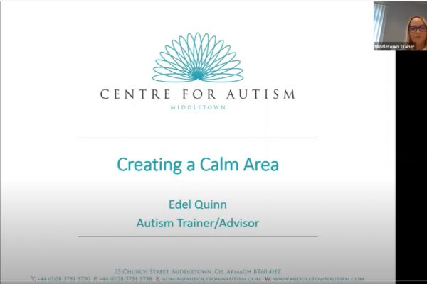 https://www.middletownautism.com/social-media/creating-a-calm-area-7-2020