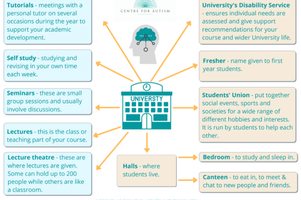 https://www.middletownautism.com/social-media/mind-map-for-starting-university-8-2022