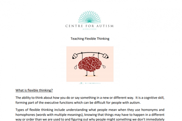 https://www.middletownautism.com/social-media/how-to-guide-flexible-thinking-8-2020