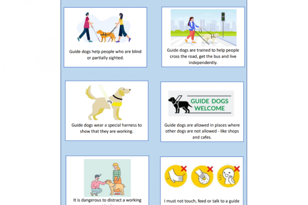 https://www.middletownautism.com/social-media/international-guide-dog-day-4-2023