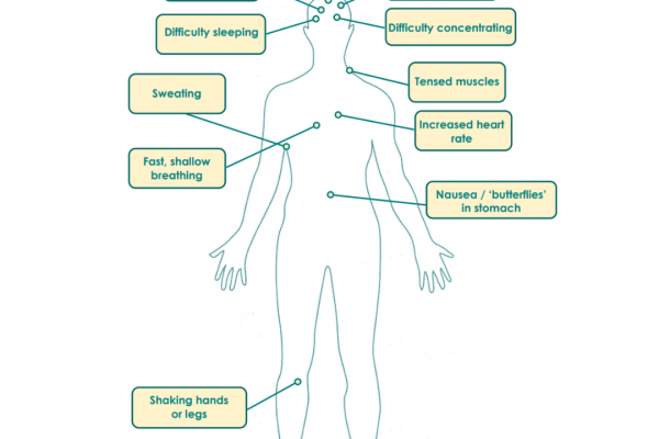 https://www.middletownautism.com/social-media/body-map-2-2023