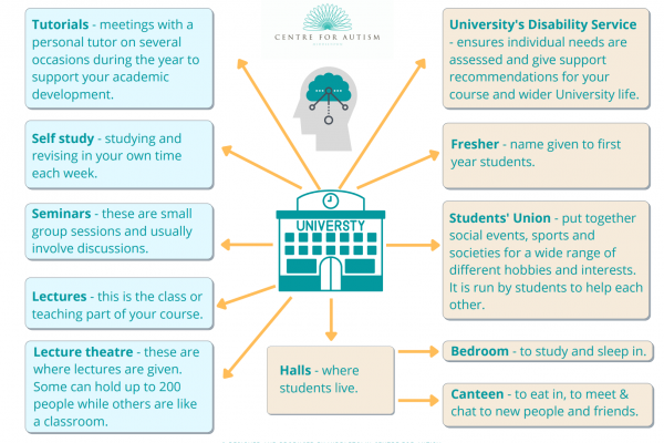 https://www.middletownautism.com/social-media/mind-map-for-starting-university-8-2025