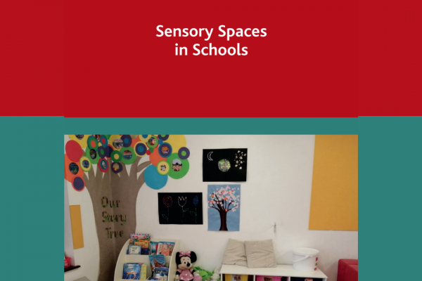 https://www.middletownautism.com/social-media/ncse-resource-sensory-spaces-11-2021