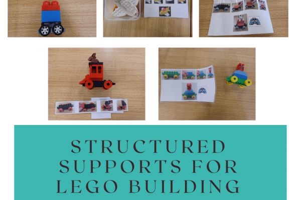 https://www.middletownautism.com/social-media/structured-supports-for-lego-building-11-2022